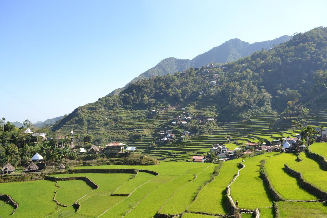Batad View Inn And Restaurant Banaue Dış mekan fotoğraf