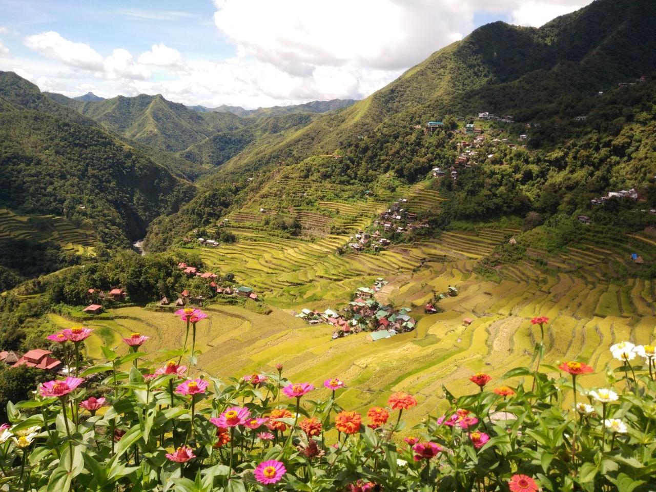 Batad View Inn And Restaurant Banaue Dış mekan fotoğraf